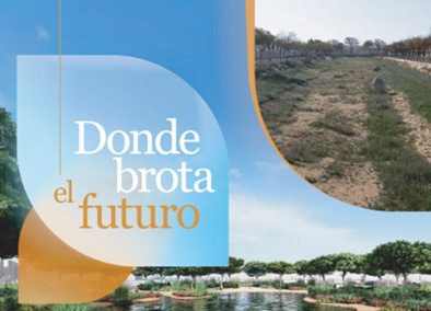 CAMPAÑA SENSIBILIZACIÓN